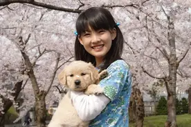 关于狗狗的电影推荐，你看过几部？图片