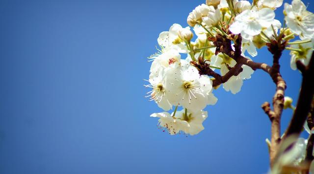 易经：一个人，懂得应变，凡事都有出路