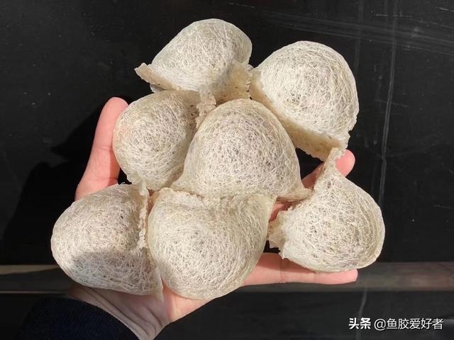 洞燕窝图片大全 2026年洞燕燕窝的功效与作用 洞燕窝图片大全 2026年洞燕燕窝的功效与作用