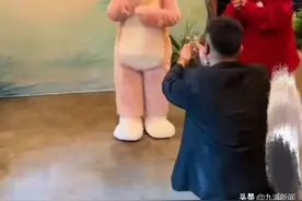 男游客在迪士尼乐园向玲娜贝儿求婚引争议，本人回应：我是想让她尝尝被表白的滋味图片