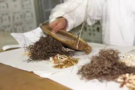 如何规范开展中药新药临床试验图片