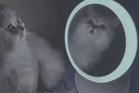 只要利用一个手机闪光灯或者手电筒就能拍出暗黑系照片-来自李白图片