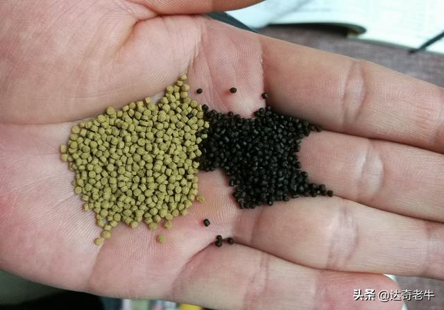 漫谈基础饵：高蛋白颗粒、开口料、能量料的钓鱼选择和避坑技巧