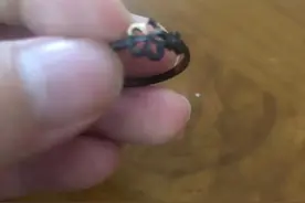 戒指不值钱图片