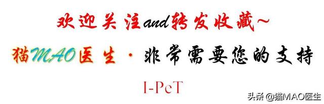 猫咪必需从肉类获取的两种氨基酸，一旦缺乏，将影响猫多功能