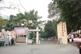 成都13区哪些私立小学值得读？41所热门学校拿走不谢图片