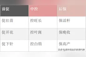 关于花生套餐的选择您想知道的和应该知道的都在这里，快来学习图片