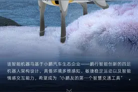 机器马：一种新交通工具来了，未来与古代的握手图片