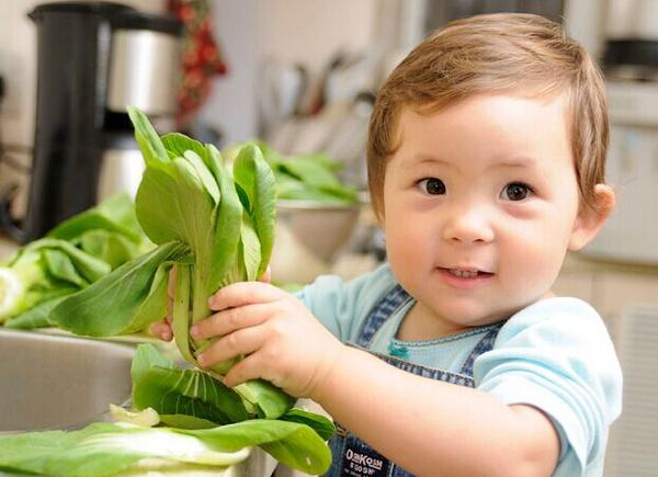 小孩偏食挑食怎么办