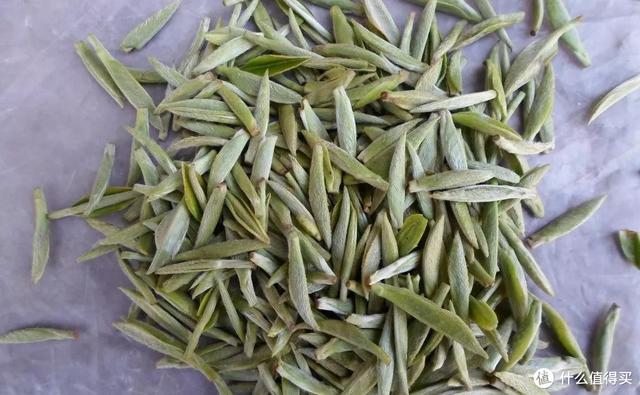 六大茶类通识：万字长文，一篇看懂：什么是白茶