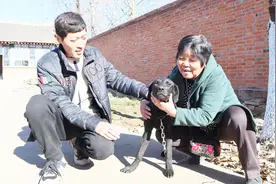 农村狗市，300元一只的黑狼犬，竟然被奶奶用这个价钱买走，贵吗视频封面