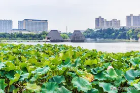 2021年1-3月江苏各市财政收入情况，其中淮安宿迁盐城表现优秀图片