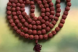 金刚菩提108颗108 pieces of Vajra Bodhi.图片