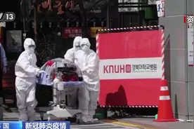 感染新冠病毒后谎报信息致40多人感染 韩国一教师获刑6个月图片