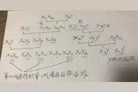 从遗传学解释为什么孩子应该跟父亲姓图片