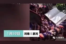 漯河一小孩上演"金蝉脱壳"，父亲：奇才图片