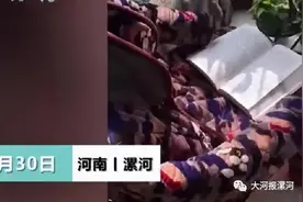 漯河一小孩上演"金蝉脱壳"，父亲：奇才图片