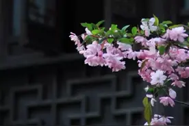 原创散文《爱相随》图片