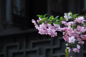 原创散文《爱相随》图片