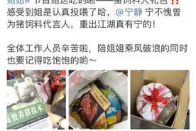 乘风破浪宁静姐早年代言的猪饲料广告图片