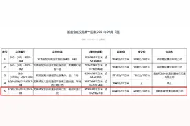 新希望再进东安湖！底价摘得143亩住兼商地块图片