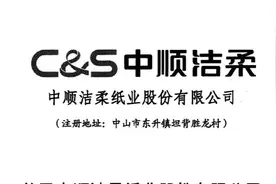 中顺洁柔(三)-未来如何-估值-风险提示图片