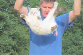 如果平衡感很好的猫咪如果从十米高空坠落，最后结果会怎么样呢？视频封面