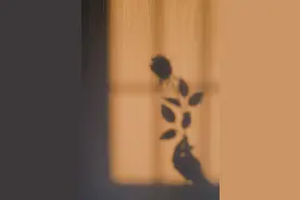 自己爱自己，没有情敌图片