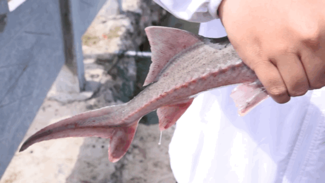 只有10%广东人才知道的粤北“云海天池红叶”，让人一眼沦陷