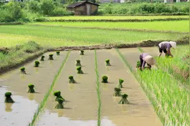 征地批复被征地农民有权申请复议，期限怎么算？图片