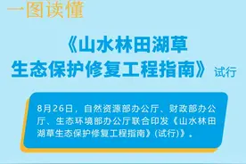 一图读懂 |《山水林田湖草生态保护修复工程指南（试行）》图片
