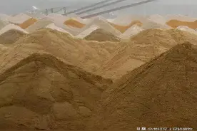 “一案三查”见成效――梧州市龙圩区检察院对非法采矿公益诉讼案举行公开听证和检察建议公开送达图片