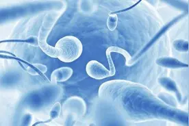 男性精子活力不足怎么办？日常生活中如何提高精子活力？图片