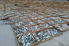 曾是廉价鱼，晒成鱼干才好卖，如今养殖比野生贵10倍，一斤58元图片