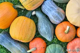 健身嘴馋可以吃这些？快来看看有没有你喜欢的图片