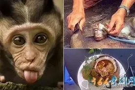 “中国九大残忍菜”图片