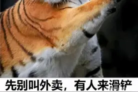 沙雕漫画集锦图片