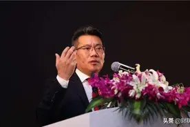 昔日国产巨头“倒下”，曾是世界第一，如今负债90%濒临退市图片