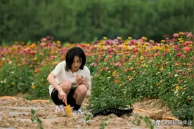 有一种“宠溺”叫张子枫外号，黄磊随口喊了两个字，引全网羡慕图片