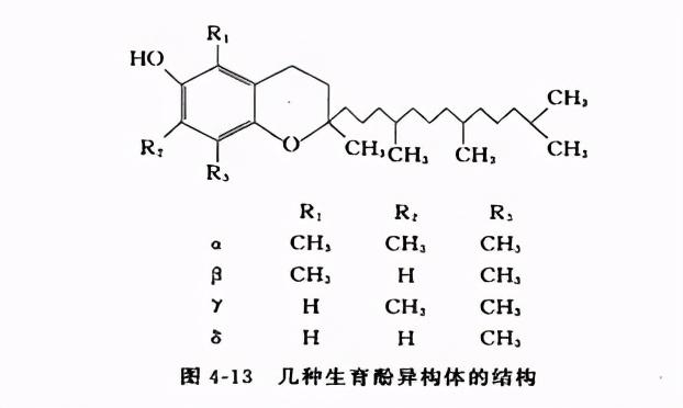 防腐剂、抗氧化剂和乳化剂知识内部培训教材，基础但很全面的一次