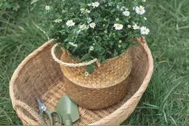 小众又好玩，离长沙市区仅三十分钟车程，这处小镇太适合过周末了图片