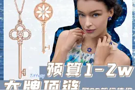 奢侈品种草｜预算1-2W 第一条大牌项链就选它吧图片