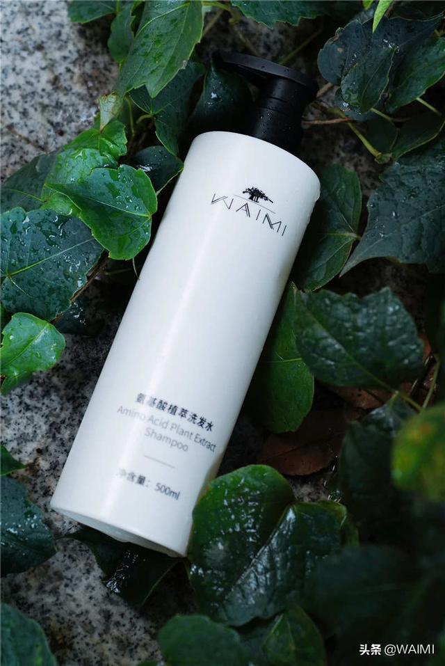 头发干枯油腻，头皮发痒，那是因为你没用这款洗发水