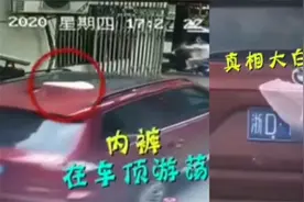 【囧新闻】粉色内裤遮挡号牌被举报，结局反转图片