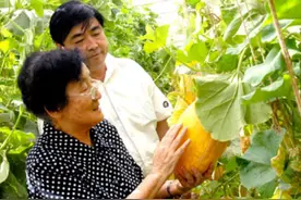 袁隆平同学吴明珠，新疆奋战62年，研究瓜田，一儿一女拒绝相认图片