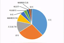 保健食品中的食用菌类原料图片