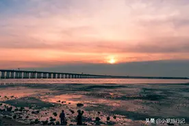 深圳宝安西湾红树林公园图片