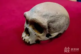 中国科学家领衔发现新人种“龙人”！或改写人类进化史图片