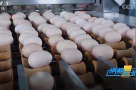 鸡蛋，最优秀又廉价的蛋白质你可能吃得还不够图片