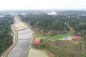 “三变”改革看茶陵官溪： "空壳村"变"样板村"图片
